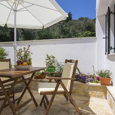 Yannis Nest Apartment Lakka  Exterior photo